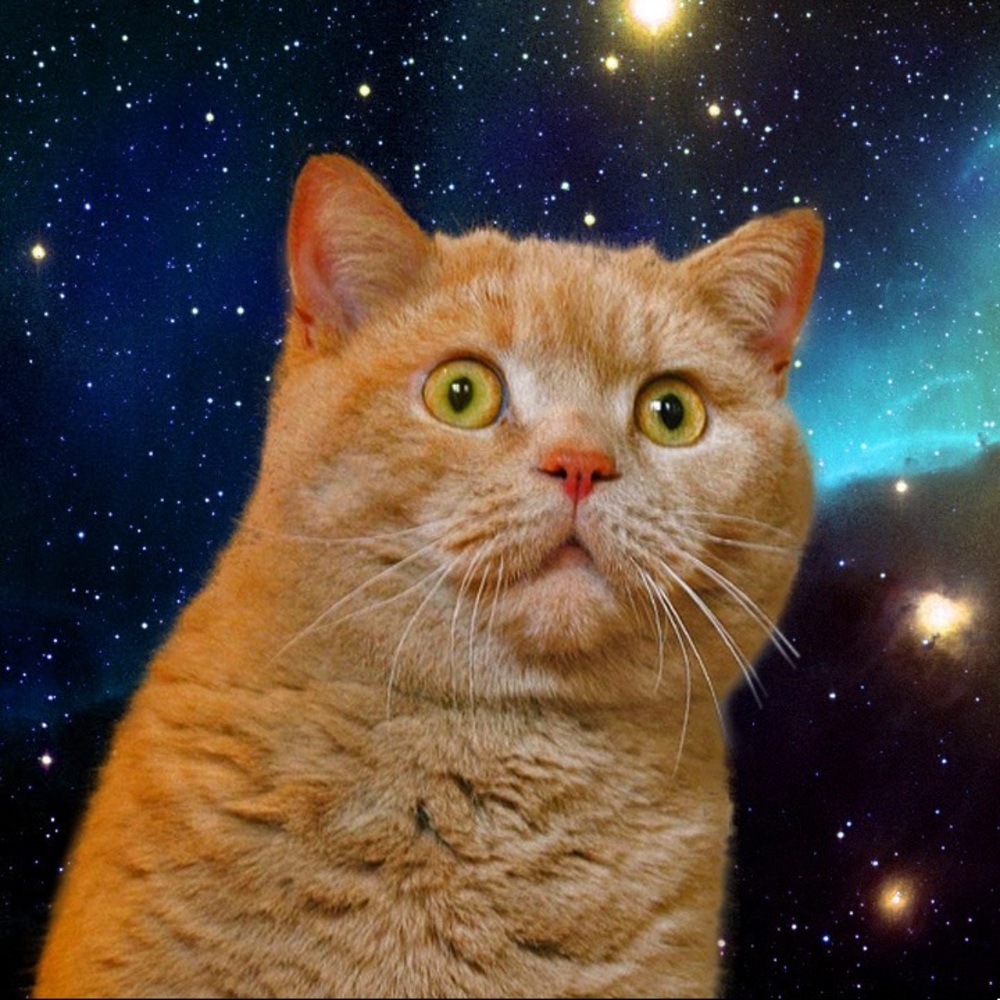 Meet your Posher, Naomi